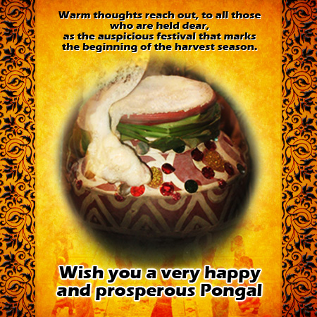 Bright&Colorful Pongal